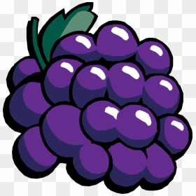 Plant,flower,grape - Grapes Clipart, HD Png Download - grape png