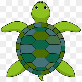 Turtle Clipart Top - Turtle Clipart Top View, HD Png Download - sea turtle png