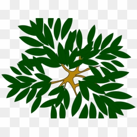 Transparent Tree Top View Png - Tree Top View Icon, Png Download - tree top png