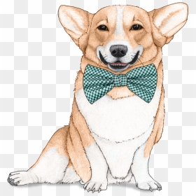 Dog Wallpaper For Walls - Stickers Perro, HD Png Download - corgi png