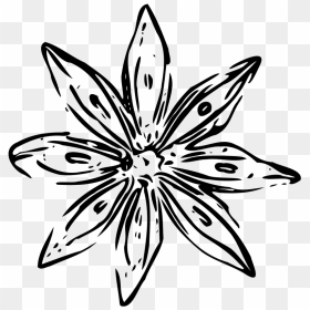 Clipart - Badiane - Outline Flowers Vector Png, Transparent Png - star outline png