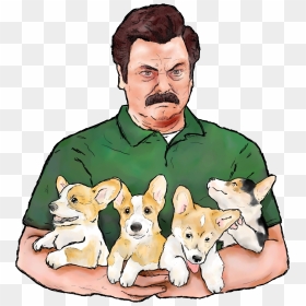 Ron Swanson & Corgi Puppies - Puppy, HD Png Download - corgi png