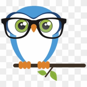 Owl Clipart Nerd Free Collection - Cute Glasses Clip Art, HD Png Download - nerd glasses png