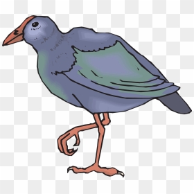 Takahe Clipart, HD Png Download - legs png