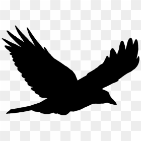 Crow At Getdrawings Com - Silhouette Flying Bird Png, Transparent Png - bird silhouette png