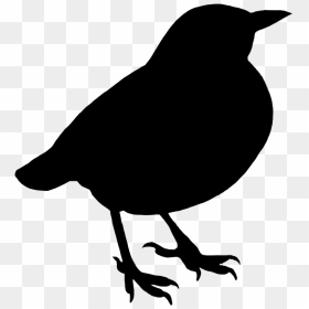 Thumb Image - White Bird Silhouette With No Background, HD Png Download - bird silhouette png
