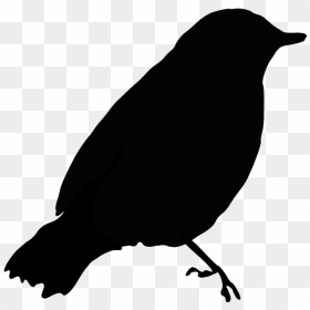 Black Bird Silhouette Png Icons - Simple Black Bird Drawing, Transparent Png - bird silhouette png