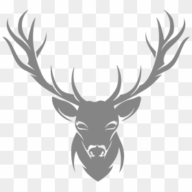 Moose, Elk Png - Elk Head Drawing, Transparent Png - reindeer antlers png