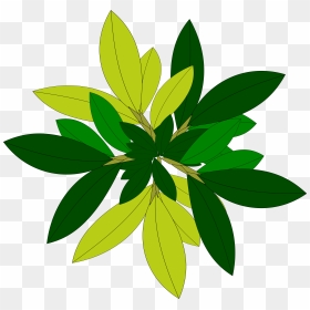 Leaf Tree Top View “free” Png File Clipart - Plant Top View Png Vector, Transparent Png - tree top png