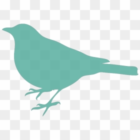 Soft Blue Bird Silhouette Svg Clip Arts - Bird Silhouette Clip Art, HD Png Download - bird silhouette png