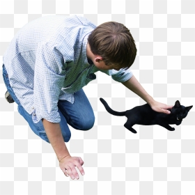 Cat - People And Cat Png, Transparent Png - cats png