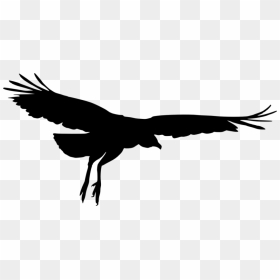 Bird Silhouette Png - Bird Silhouette Transparent, Png Download - bird silhouette png