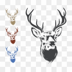 Deer Head Png Image - Deer Head Drawing Png, Transparent Png - reindeer antlers png