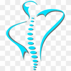 15 Vector Spine For Free Download On Mbtskoudsalg , - Vector Spine Png, Transparent Png - spine png