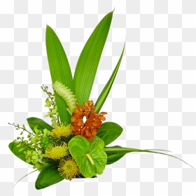 Transparent Hawaiian Flowers Png - Tropical Leaf Arrangement Png, Png Download - hawaiian flowers png