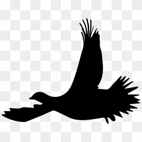 Grouse Bird Flying Silhouette - Flying Grouse Silhouette, HD Png Download - bird silhouette png