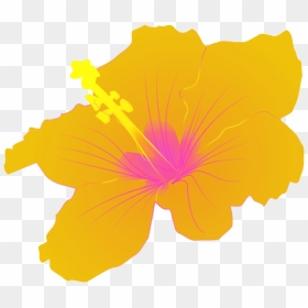 Hawaiian Flowers Png, Transparent Png - hawaiian flowers png