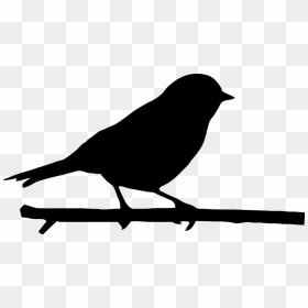 Silhouette Birds Png Download - Silhouette Birds, Transparent Png - bird silhouette png