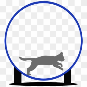 Cat Wheel - Black Cat, HD Png Download - cats png