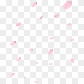 Picture Transparent Library Cherry Blossom Flower - Polka Dot, HD Png Download - cherry blossom petals png