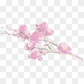 Transparent Cherry Blossom Petals Png - Cherry Blossom Aesthetic Transparent, Png Download - cherry blossom petals png