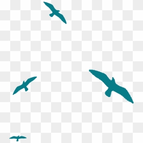 Birds Silhouette Png Download - Bird Silhouette Blue Transparent, Png Download - bird silhouette png