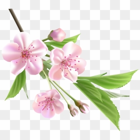 Plum Flower Clipart Jpg Library Download Spring Flowers, - Spring Flower Png Transparent, Png Download - cherry blossom petals png