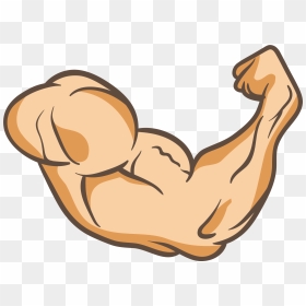 Arms Thumb Muscle Clip Art A Powerful Arm 2359 - Muscle Clipart Transparent, HD Png Download - arms png