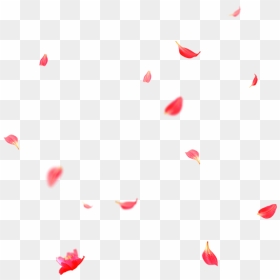Transparent Flower Clipart Backgrounds - Fall Flowers Transparent ...