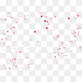 Flower Petals Png High Quality Image - Transparent Flower Petals Falling, Png Download - flower petals png