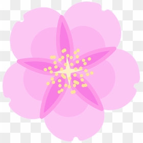 Desenho Flor De Cerejeira Png, Transparent Png - cherry blossom petals png