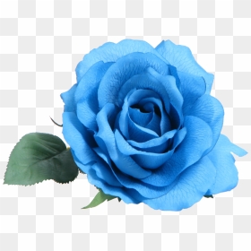 Blue Rose Clip Art - Transparent Blue Flower Png, Png Download - white roses png