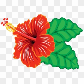 Hibiscus,hawaiian Hibiscus,flower,chinese Hibiscus,plant,botany - Clipart Of Hibiscus Flowers, HD Png Download - hawaiian flowers png