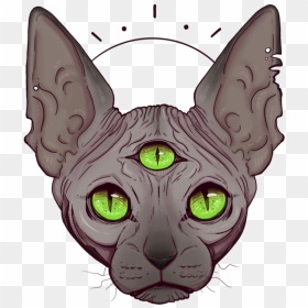 Whiskers Korat Sphynx Cat Kitten Domestic Short-haired - All Seeing Eye Cat, HD Png Download - all seeing eye png