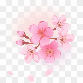 Cherry Blossoms Flower Clipart - 桜 商用 フリー イラスト, HD Png Download - cherry blossom petals png