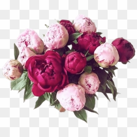 Bouquet Of Peonies Transparent Png - Peonies Png, Png Download - bouquet png