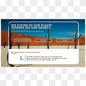 Desert Mock Up Dribble2 - Signage, HD Png Download - desert png