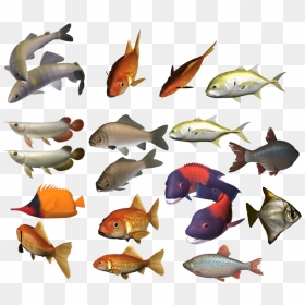School Of Fish Png Image - Colour Fish Png Image Hd, Transparent Png - school of fish png