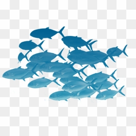 School Of Fishes Png - School Of Fish Png, Transparent Png - school of fish png