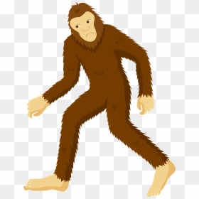 Bigfoot Clipart - New World Monkey, HD Png Download - bigfoot png