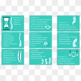 Spine Surgery Diploma Cover Image - Brochure, HD Png Download - spine png