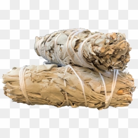 White Sage 4in, HD Png Download - desert png