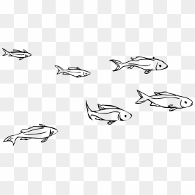 Cute Fish Silhouette Clip Art - Small Fish Clipart Black And White, HD Png Download - school of fish png