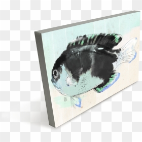 School Of Fish - Fish, HD Png Download - school of fish png
