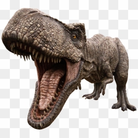Dino Park, HD Png Download - trex png