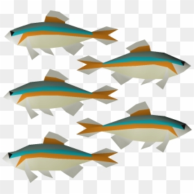 Old School Runescape Wiki - Minnow Png, Transparent Png - school of fish png