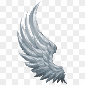 Wings Angel - Angel Wings From The Side, HD Png Download - angel wing png