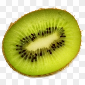 Kiwi Free Download Png - Kiwi Png Transparent, Png Download - kiwi png