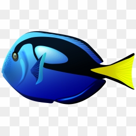 School Of Tang Clipart Picture Royalty Free Stock Blue - Pacific Blue Tang Fish Svg, HD Png Download - school of fish png