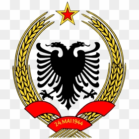 Coat Of Arms Of The People"s Republic Of Albania - Hyper Bat Mapping, HD Png Download - arms png